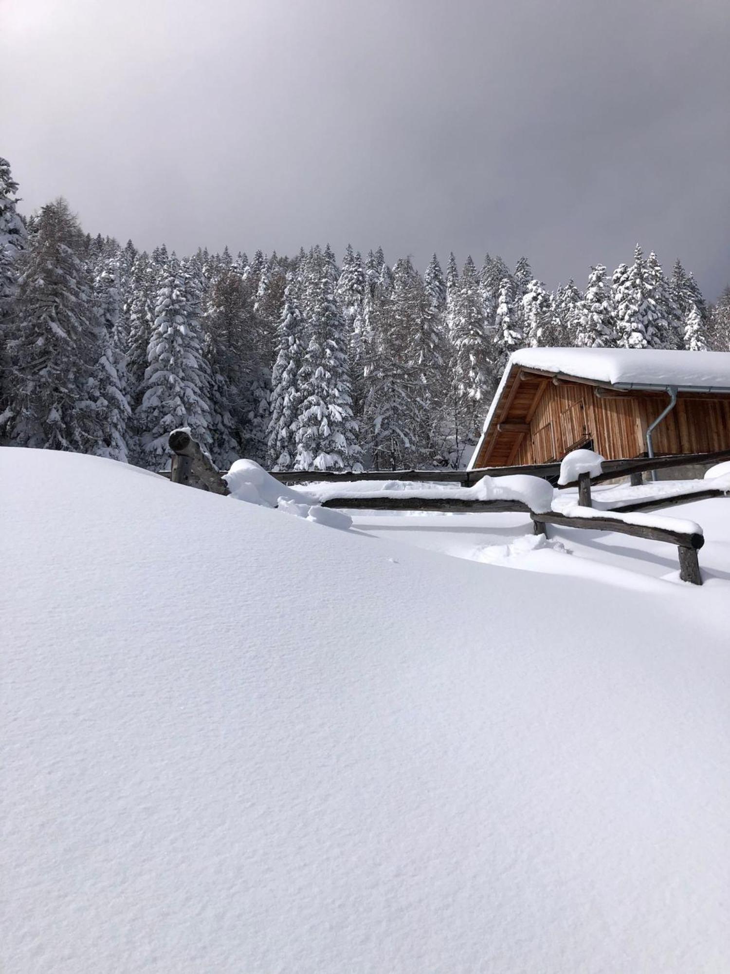 Brenta Luxury Chalet Sporminore Exterior foto